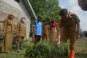 Wako Minta Petani Jahe Merah di Sawahlunto Semangat dan Kreatif