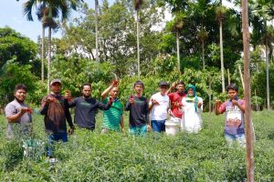 Panen Cabe Bersama Komunitas Hijau, Wawako Harap Agar Semakin Banyak Pemuda Yang Mau Bertani