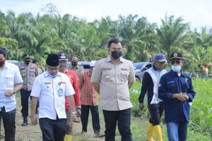 Bupati Sutan Riska Dorong Petani Budidaya Porang