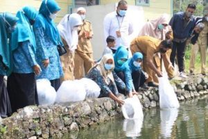 Delapan KK Dapat Bantuan Bibit Ikan,  PKK Padang Panjang Lakukan Kerja Sama Dengan Dispangtan