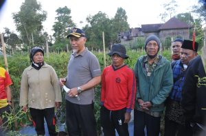 Gubernur Mahyeldi Berbaur dengan Petani Ikut Panen Cabai di Agam