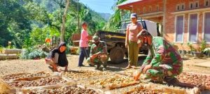 Masyarakat Petani Pinang Nagari Talang Maur Dapat Pendampingan Dari Satgas Pra TMMD