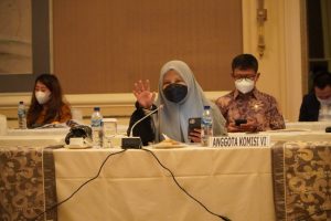 Webinar UMKM Sumbar,Anggota DPR-RI Fraksi PKS Nevi Zuairina Bicara Pentingnya Go Internasional