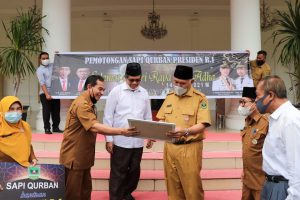 Gubernur Mahyeldi serahkan sapi kurban Presiden ke Masjid Raya Sumbar