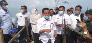 Bupati Rusma Yul Anwar, Melakukan Penanaman Cemara Laut di Pantai Muara Anakan 