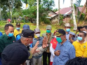 Bupati Pessel Bersama Gubernur Panen Padi Organik di Padang XI Punggasan