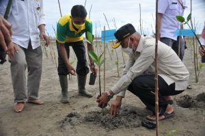 Mangrove Berfungsi Ganda untuk Mitigasi dan Mendukung Perekonomian Pesisir