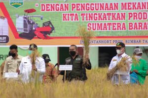 Intensifikasi Lahan Dukung Produksi Beras Solok