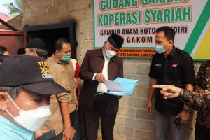 Gubernur Mahyeldi : Perlu Peningkatan SDM Petani Gambir untuk Tingkatkan Kualitas Produk