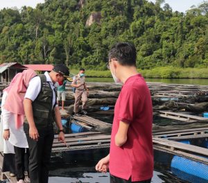 20 Ton Kerapu Sumbar Diekspor ke Hongkong