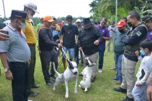 Berantas Rabies, Pemprov. Sumbar Gandeng Organisasi Buru Babi