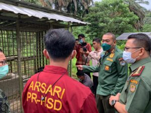 Viral Harimau Tertangkap, Wagub Audy: Harimau Sudah di Pusat Rehabilitasi Dharmasraya