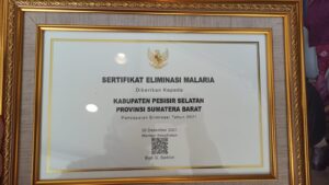 Bupati Terima Penghargaan dari Kementerian Kesehatan