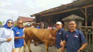 Semarakkan Idul Adha, Anies Baswedan Qurban Sapi di Padang