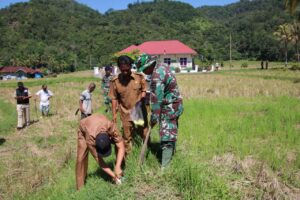 Satgas TMMD Bersama Dinas Pertanian Berikan Penyuluhan Terhadap Warga