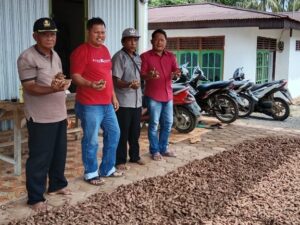 Hasil Panen Perdana Jahe Merah Wali Nagari Ampang Tulak Tapan,  Dilirik PT Jamu Sido Muncul