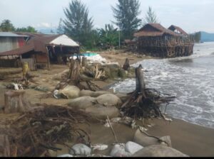 Jalinsum Padang Painan Nagari Api Api Nyaris Diterjang Abrasi Pantai