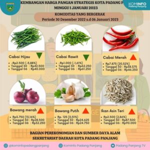 Awal Tahun, Harga Komoditas Pangan di Padang Panjang Relatif Stabil