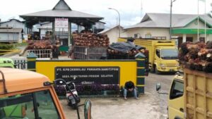 Dinas Perikanan dan Pangan Pessel Pastikan Tak Ada kehidupan di Pembuangan Limbah PT Kemilau