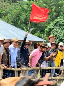 Alek Pacu Jawi, Tradisi Masyarakat Yang Perlu Dilestarikan