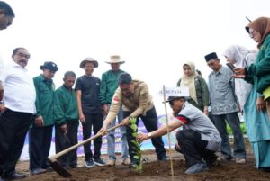 Tingkatkan Perekonomian Petani, Pemkab Tanah Datar Dukung Budidaya Jeruk Lemon