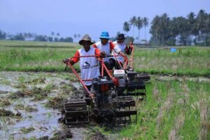 Tahun 2023 Pemkab Tanah Datar Targetkan Layanan Bajak Gratis 4300 Ha
