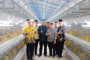 Miliki Usaha Peternakan Ayam Berbasis Teknologi, Bupati Pessel: Implementasikan Untuk Kemajuan Daerah