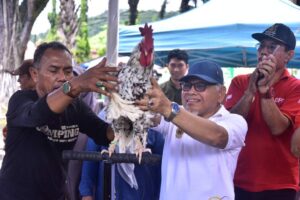 Wawako Sawahlunto Buka Festival Ayam Kukuak Balenggek