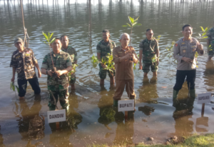 Wakili Bupati Hadiri Penanaman Mangrove Serentak, Ini Pesan Sekda Pessel