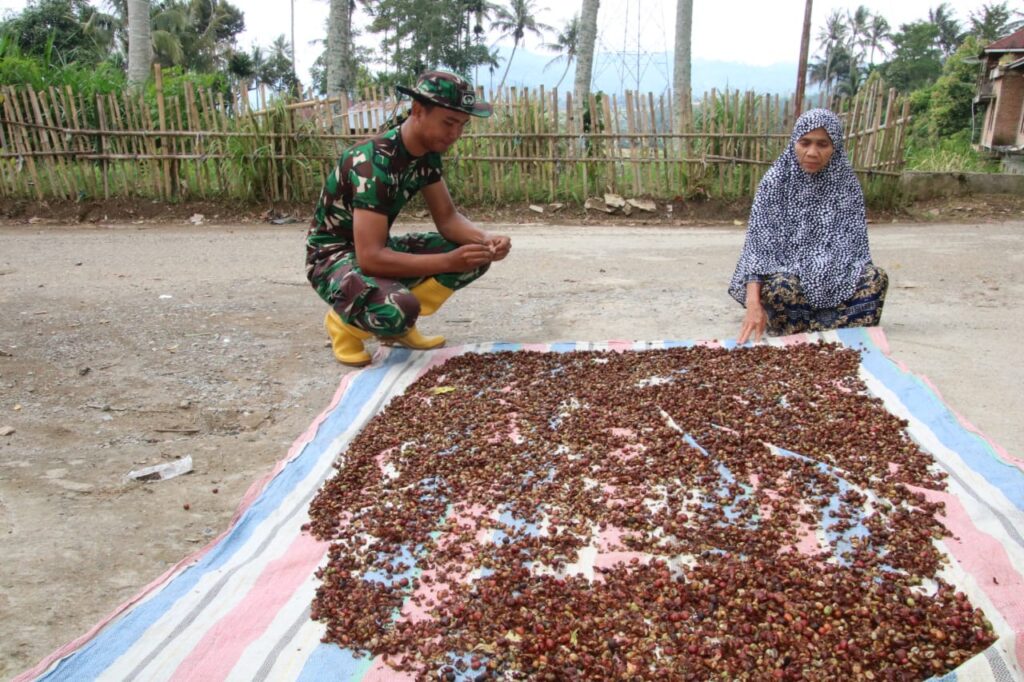 Anggota Satgas TMMD Ke- 117 Bantu Jemur Biji Kopi