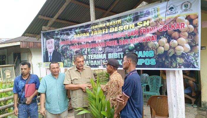 Zarfi Deson Serahkan Puluhan Ribu Bibit Pinang Batara dan Pupuk Kompos Untuk Petani Pessel