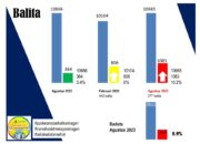 Simak Data Stunting Solsel Terbaru