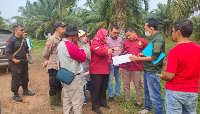 Gugatan Aliansi Jurnalis Peduli Lingkungan Hidup Terhadap PT Incasi Raya Group di PN Painan Masuki Tahap Pemeriksaan Lapangan