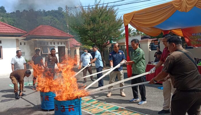 Kejari Pesisir Selatan Musnahkan Barang Bukti Sabu dan Ganja, Segini Jumlahnya..