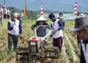 Melebihi Target, 4308 Hektare Sawah di Tanah Datar Dibajak Secara Gratis