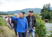 Guguak Sigandang, Benteng Pertahanan Yang Menjadi Cottage dan Glamping