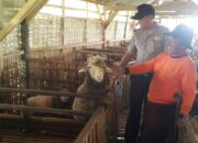 Kapolres Pasaman Sambangi Kelompok Peternak Kambing