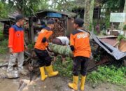 BPBD Solok Evakuasi Pohon Tumbang yang Timpa Rumah Warga