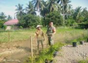 Mendorong Ketahanan Pangan, Babinsa Koramil 03/SS Komsos Bersama Petani Jagung