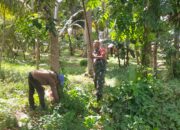 Babinsa Koptu Ade Chandra Dampingi Petani Jengkol Jenis ABDYA