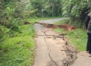 Bupati Tinjau Jalan Terban di Tigo Jangko