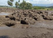 Ini Data Sementara Korban Bencana Tanah Datar
