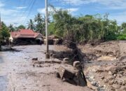 Pompanisasi, Cara Pemkab Tanah Datar Tingkatkan Penambahan Areal Tanam