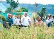 Andree Algamar : Petani Adalah Pahlawan Pangan Indonesia