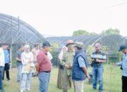 Pemkab Solok Survey Potensi Lahan untuk Pembangunan Sekolah Rakyat