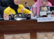 Prof. Ganefri Ketua Tim Draf Usulan UU Sisdiknas dari ISPI : ISPI Sampaikan Tiga Rekomendasi Penyusunan RUU Sisdiknas pada Komis X DPR RI