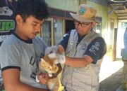 Cegah Rabies, Dispangtan Bakal Gelar Vaksinasi Massal HPR