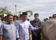 Bupati Solok Hadiri Prosesi Penyembelihan Hewan Kurban dari Presiden RI di Nagari Koto Laweh