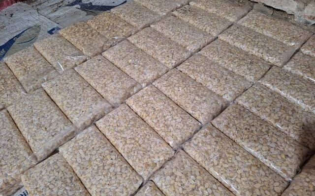 Pemkab Pessel Resmi luncurkan Bergizi Gratis