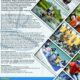 Sambut HUT 17 Agustus Perusahaan Nasional Adakan TAFT And Green Program